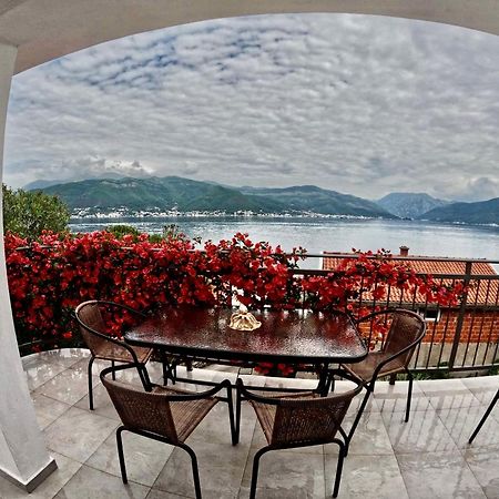 Apartments Obradovic Krasići المظهر الخارجي الصورة