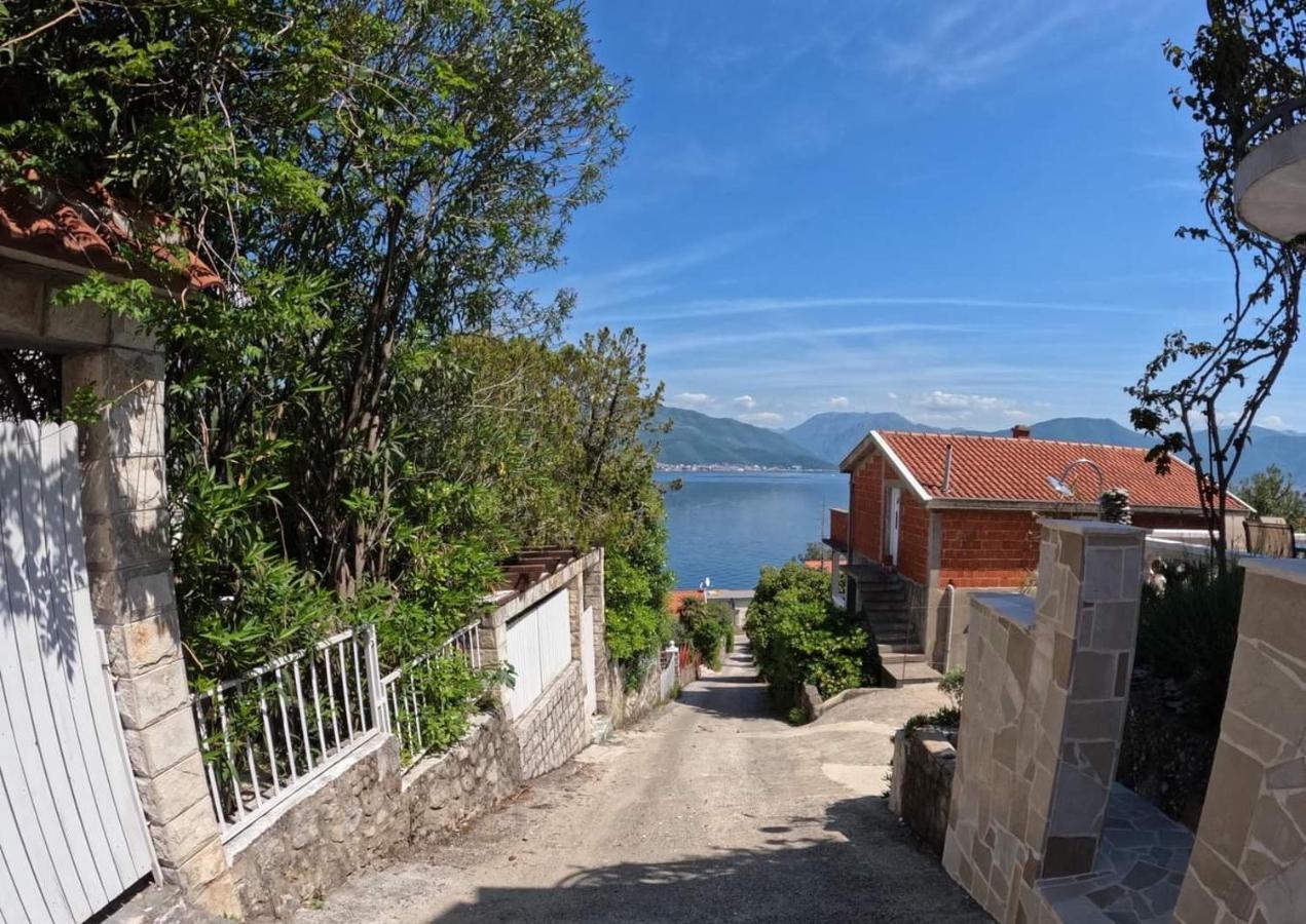 Apartments Obradovic Krasići المظهر الخارجي الصورة