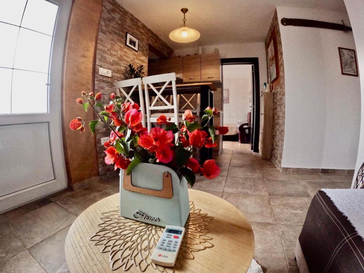 Apartments Obradovic Krasići المظهر الخارجي الصورة