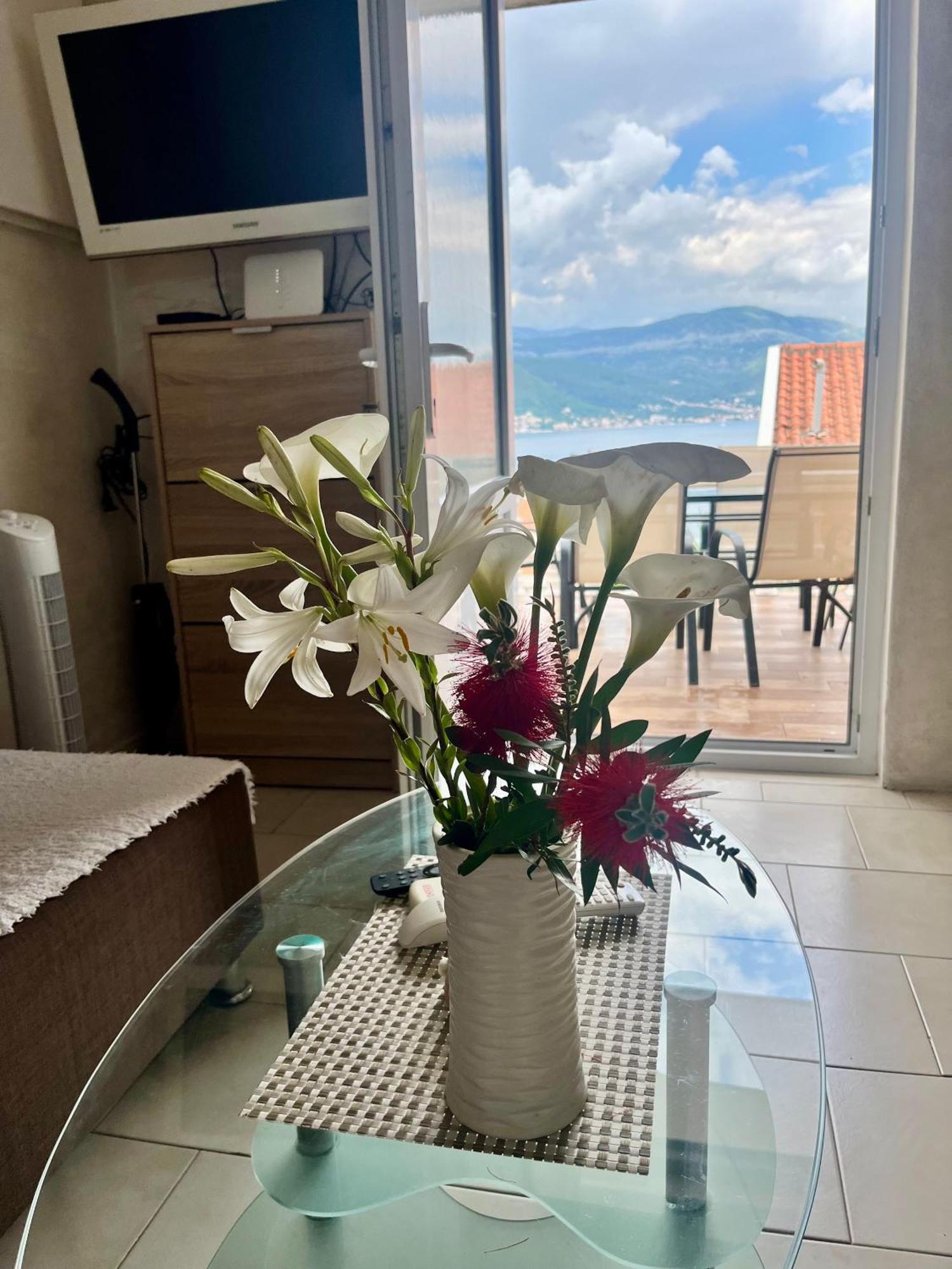 Apartments Obradovic Krasići الغرفة الصورة